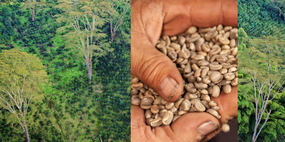 responsibility-header responsibility-header