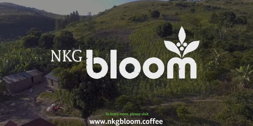 nkgbloom